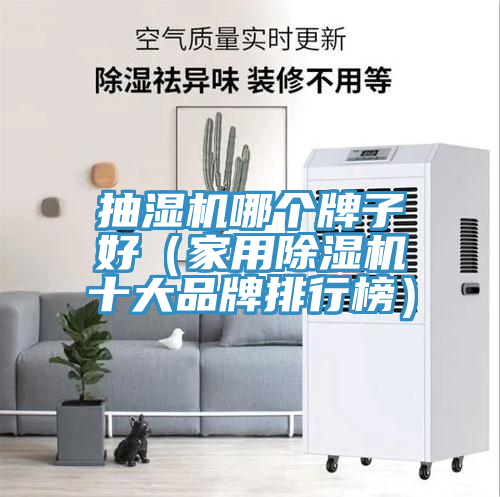 抽湿机哪个牌子好（家用辣椒视频APP下载并安装十大品牌排行榜）