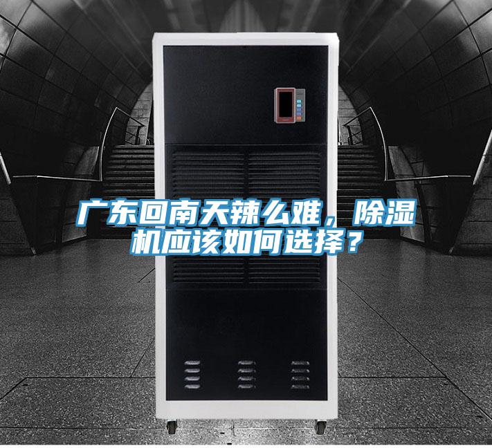 广东回南天辣么难，辣椒视频APP下载并安装应该如何选择？