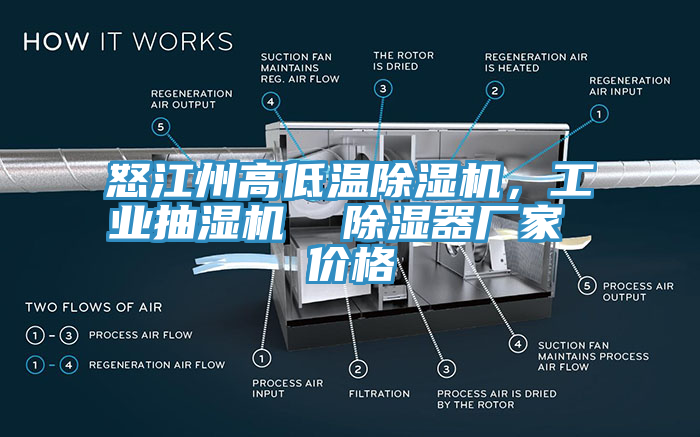 怒江州高低温辣椒视频APP下载并安装，工业抽湿机  除湿器厂家 价格