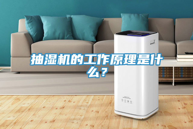 抽湿机的工作原理是什么？