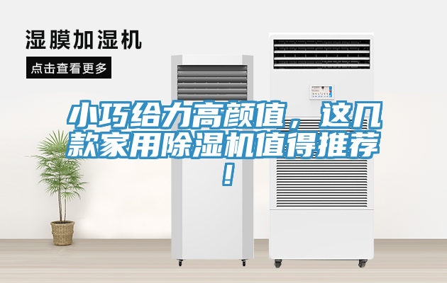 小巧给力高颜值，这几款家用辣椒视频APP下载并安装值得推荐！