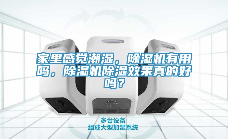 家里感觉潮湿，辣椒视频APP下载并安装有用吗，辣椒视频APP下载并安装除湿效果真的好吗？