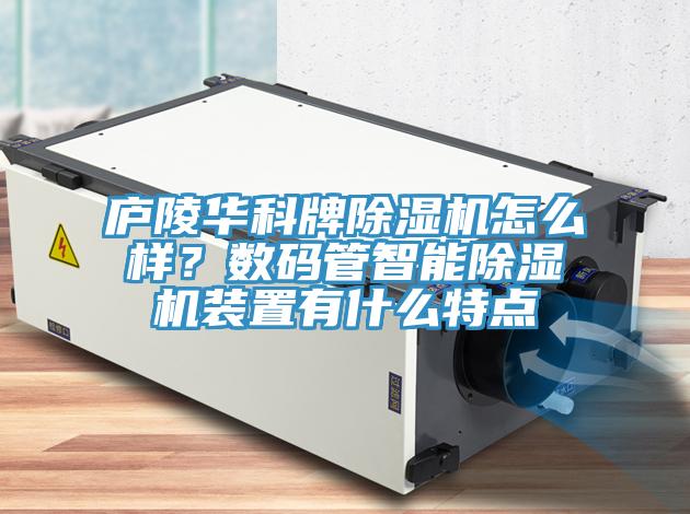 庐陵华科牌辣椒视频APP下载并安装怎么样？数码管智能辣椒视频APP下载并安装装置有什么特点