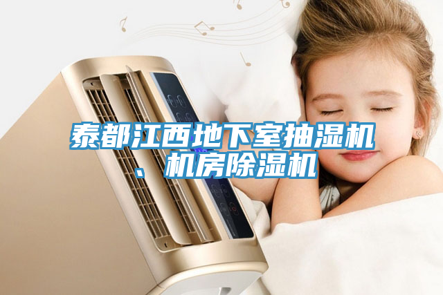 泰都江西地下室抽湿机、机房辣椒视频APP下载并安装