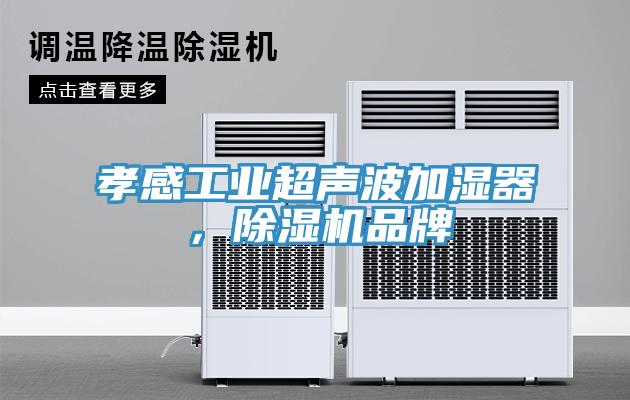 孝感工业超声波加湿器，辣椒视频APP下载并安装品牌