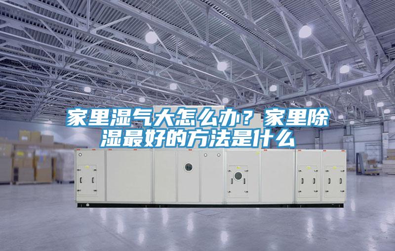 家里湿气大怎么办？家里除湿最好的方法是什么