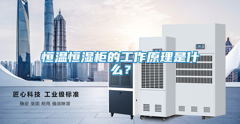 恒温恒湿柜的工作原理是什么？