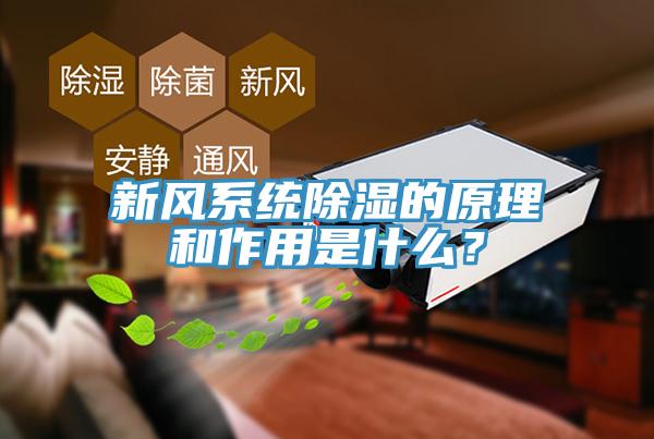 新风系统除湿的原理和作用是什么？