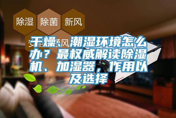 干燥、潮湿环境怎么办？最权威解读辣椒视频APP下载并安装、加湿器，作用以及选择