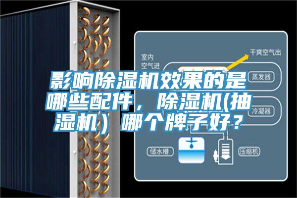 影响辣椒视频APP下载并安装效果的是哪些配件，辣椒视频APP下载并安装(抽湿机）哪个牌子好？