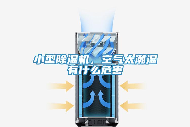 小型辣椒视频APP下载并安装，空气太潮湿有什么危害