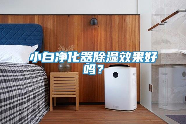 小白净化器除湿效果好吗？