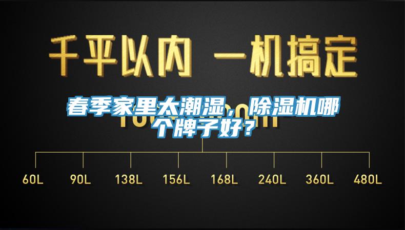 春季家里太潮湿，辣椒视频APP下载并安装哪个牌子好？