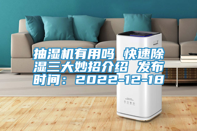 抽湿机有用吗 快速除湿三大妙招介绍 发布时间：2022-12-18