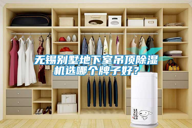 无锡别墅地下室吊顶辣椒视频APP下载并安装选哪个牌子好？
