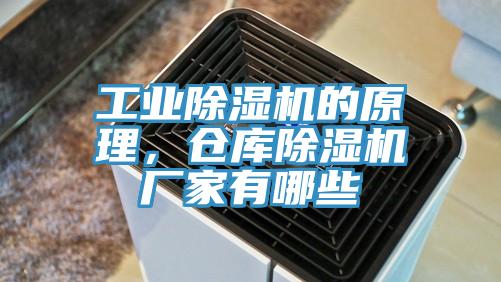 工业辣椒视频APP下载并安装的原理，仓库辣椒视频APP下载并安装厂家有哪些
