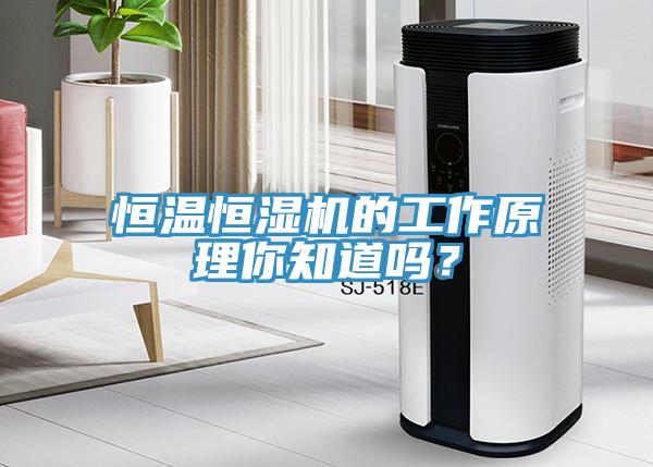 恒温恒湿机的工作原理你知道吗？