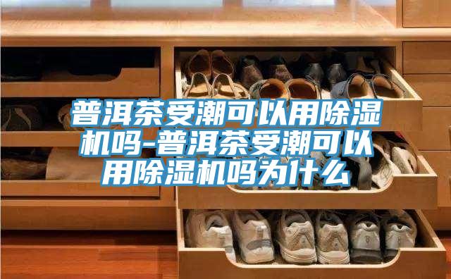 普洱茶受潮可以用辣椒视频APP下载并安装吗-普洱茶受潮可以用辣椒视频APP下载并安装吗为什么