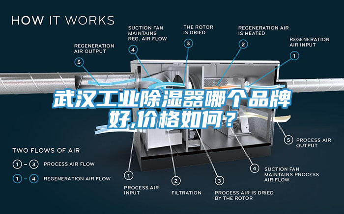 武汉工业除湿器哪个品牌好,价格如何？