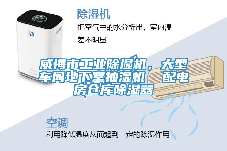威海市工业辣椒视频APP下载并安装，大型车间地下室抽湿机  配电房仓库除湿器