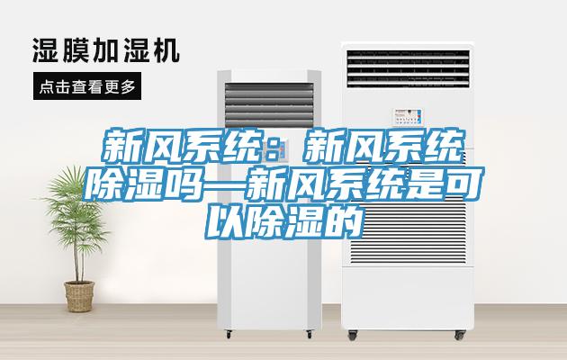 新风系统：新风系统除湿吗—新风系统是可以除湿的