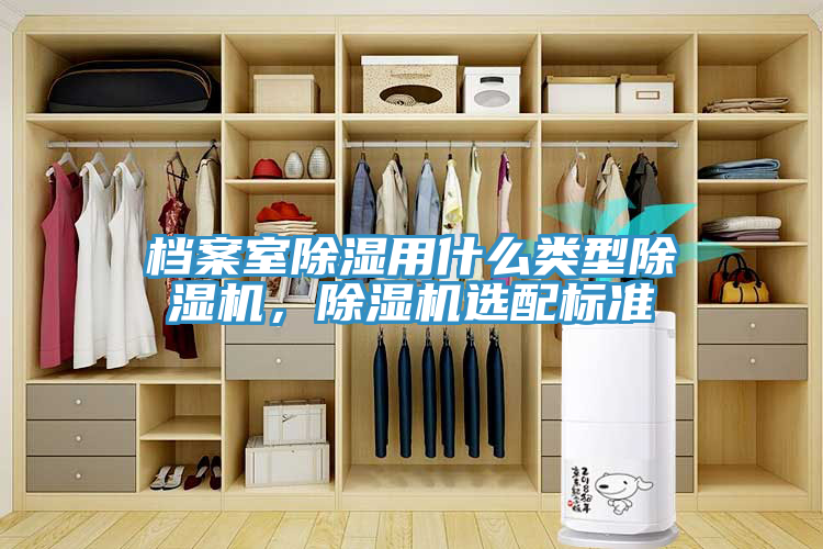 档案室除湿用什么类型辣椒视频APP下载并安装，辣椒视频APP下载并安装选配标准