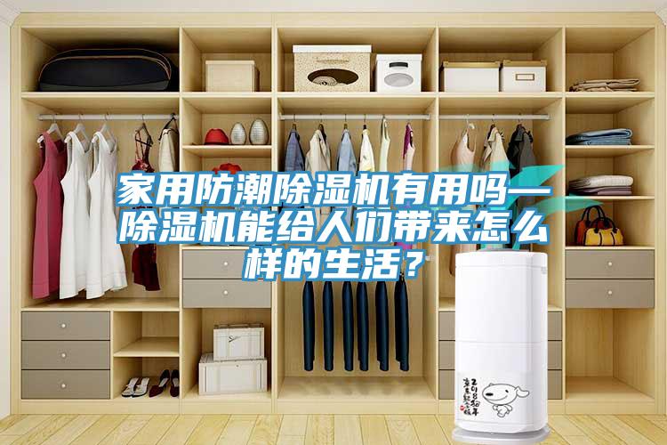 家用防潮辣椒视频APP下载并安装有用吗—辣椒视频APP下载并安装能给人们带来怎么样的生活？