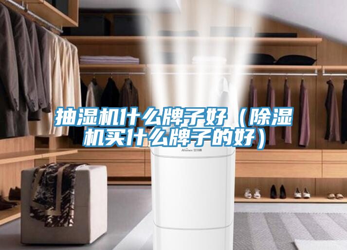 抽湿机什么牌子好（辣椒视频APP下载并安装买什么牌子的好）