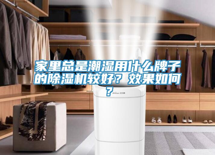 家里总是潮湿用什么牌子的辣椒视频APP下载并安装较好？效果如何？