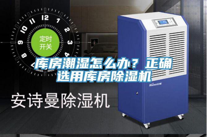 库房潮湿怎么办？正确选用库房辣椒视频APP下载并安装