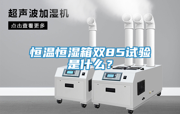 恒温恒湿箱双85试验是什么？