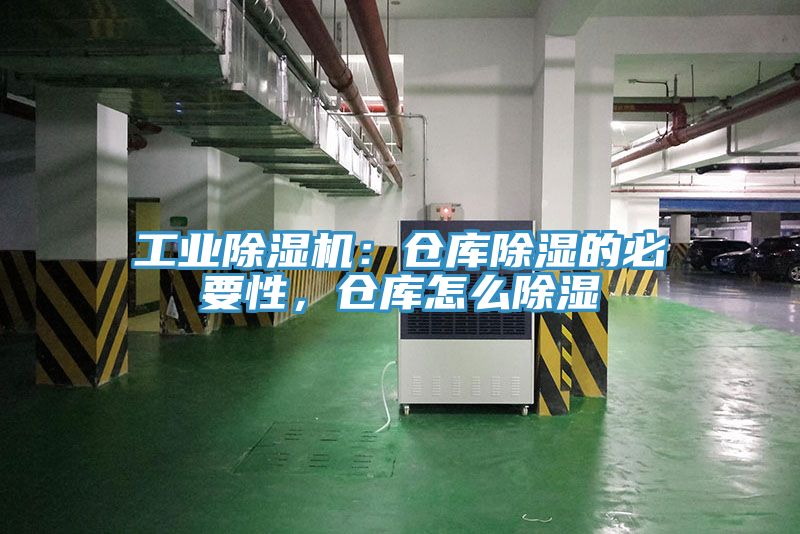 工业辣椒视频APP下载并安装：仓库除湿的必要性，仓库怎么除湿