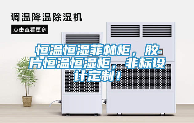 恒温恒湿菲林柜，胶片恒温恒湿柜，非标设计定制！