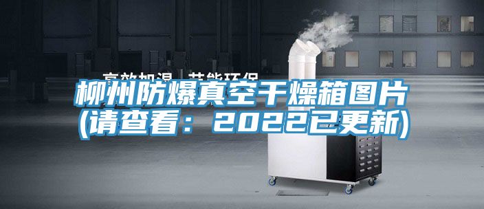 柳州防爆真空干燥箱图片(请查看：2022已更新)