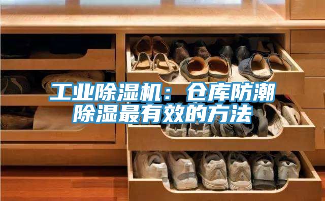 工业辣椒视频APP下载并安装：仓库防潮除湿最有效的方法