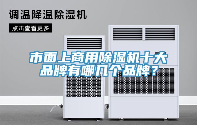 市面上商用辣椒视频APP下载并安装十大品牌有哪几个品牌？