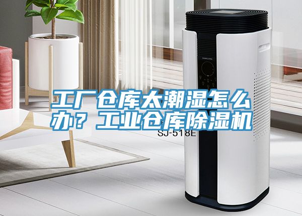 工厂仓库太潮湿怎么办？工业仓库辣椒视频APP下载并安装