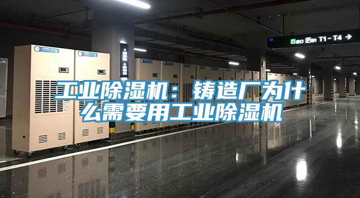 工业辣椒视频APP下载并安装：铸造厂为什么需要用工业辣椒视频APP下载并安装