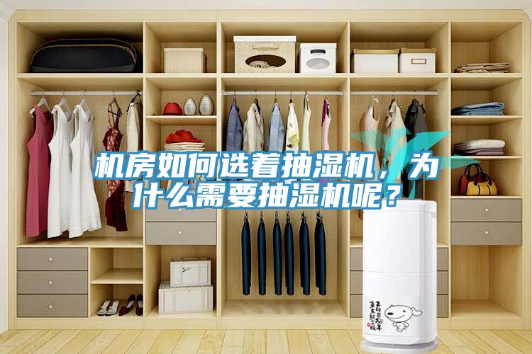机房如何选着抽湿机，为什么需要抽湿机呢？