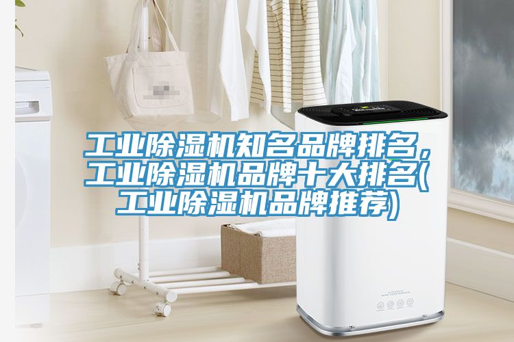 工业辣椒视频APP下载并安装知名品牌排名，工业辣椒视频APP下载并安装品牌十大排名(工业辣椒视频APP下载并安装品牌推荐)