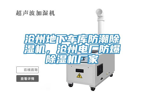沧州地下车库防潮辣椒视频APP下载并安装，沧州电厂防爆辣椒视频APP下载并安装厂家