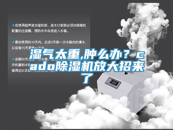 湿气太重,肿么办？cado辣椒视频APP下载并安装放大招来了