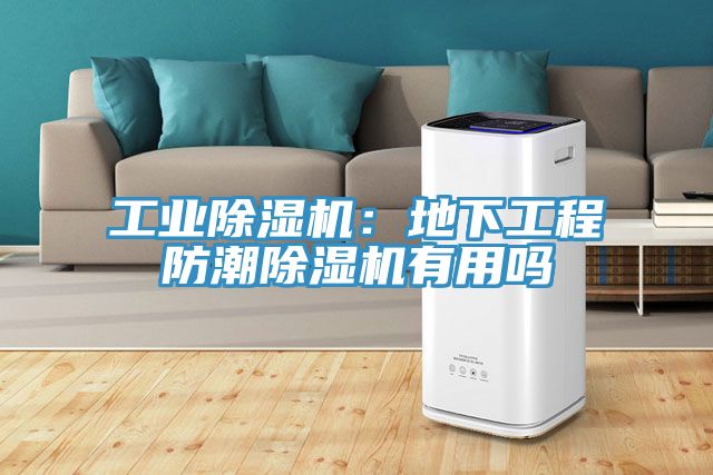 工业辣椒视频APP下载并安装：地下工程防潮辣椒视频APP下载并安装有用吗