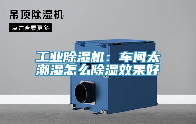 工业辣椒视频APP下载并安装：车间太潮湿怎么除湿效果好