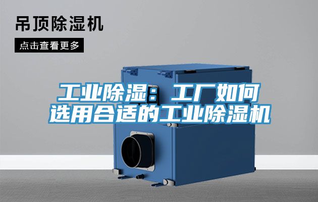 工业除湿：工厂如何选用合适的工业辣椒视频APP下载并安装