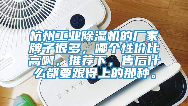 杭州工业辣椒视频APP下载并安装的厂家牌子很多，哪个性价比高啊，推荐下，售后什么都要跟得上的那种。