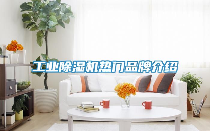 工业辣椒视频APP下载并安装热门品牌介绍