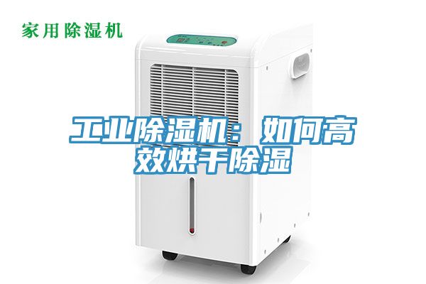工业辣椒视频APP下载并安装：如何高效烘干除湿
