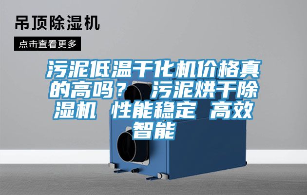 污泥低温干化机价格真的高吗？ 污泥烘干辣椒视频APP下载并安装 性能稳定 高效智能