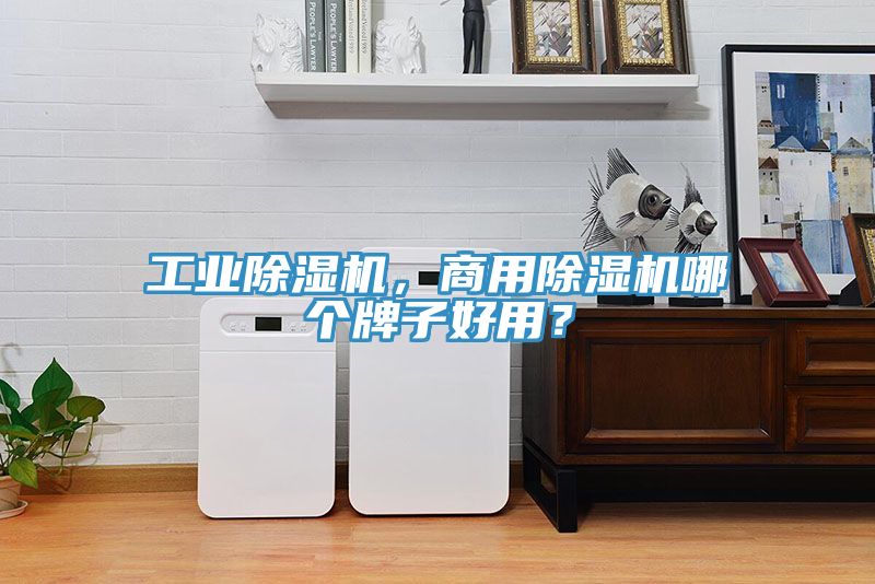 工业辣椒视频APP下载并安装，商用辣椒视频APP下载并安装哪个牌子好用？